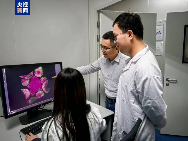 中国科学家破解植物再生密码 揭示细胞壁调控机制